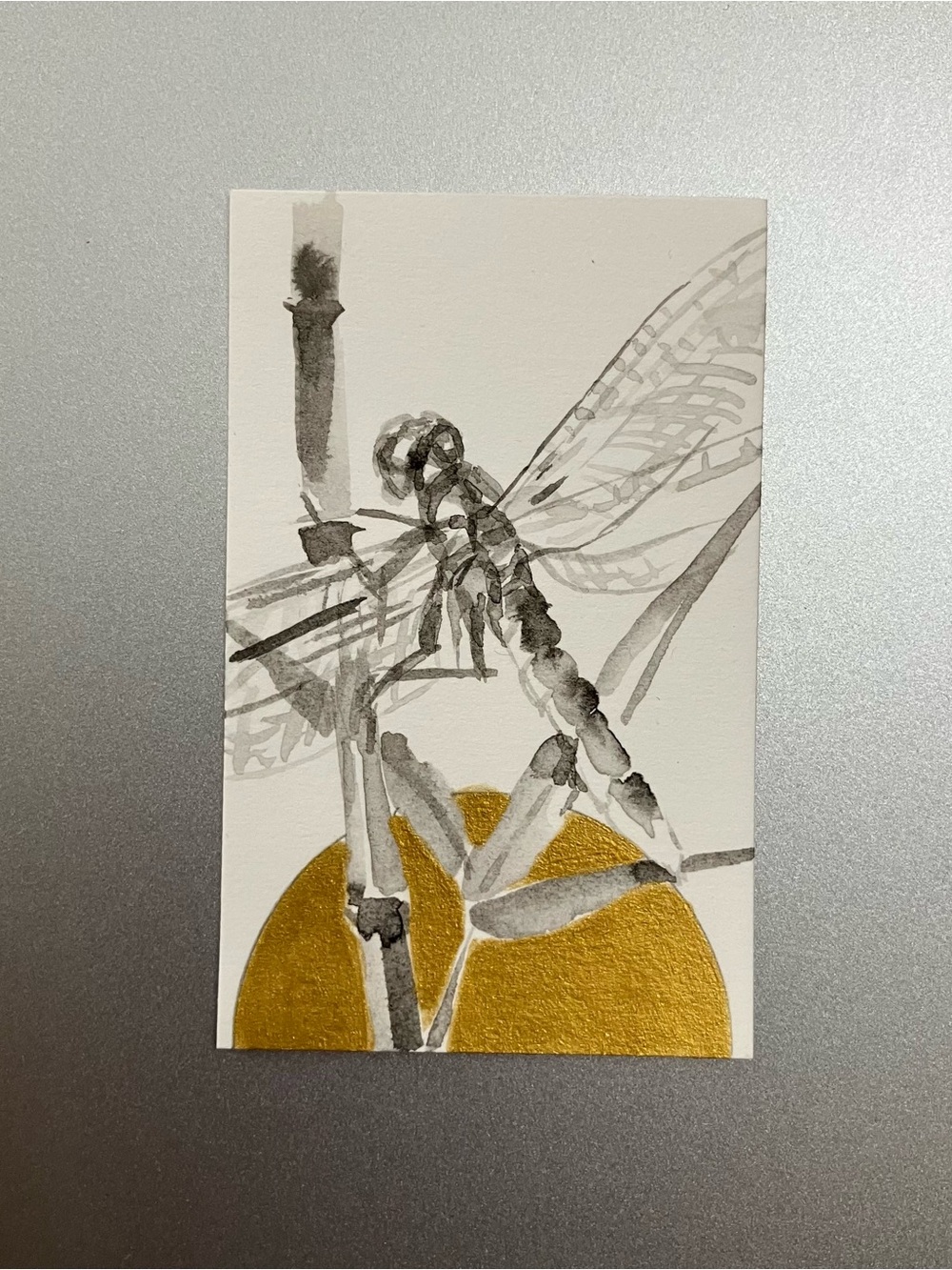 Original dragonfly painting miniature realism art sumi-e style ink artwork USA